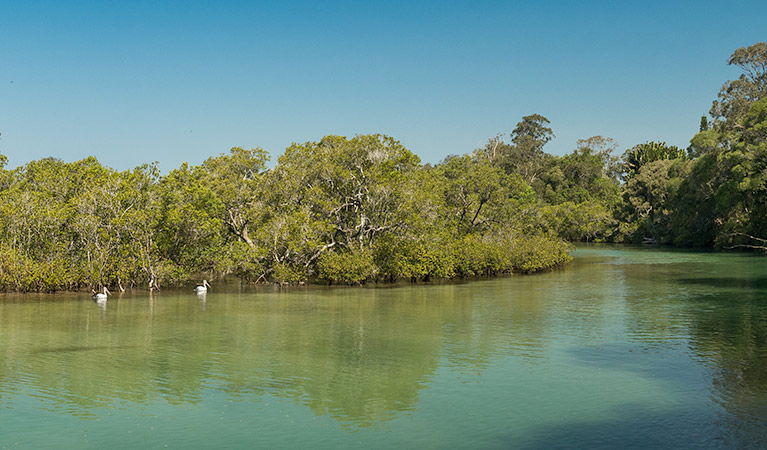  New South Wales Tourism 