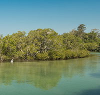 Tyagarah Nature Reserve - New South Wales Tourism 
