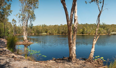 Tyagarah Nature Reserve - New South Wales Tourism  3