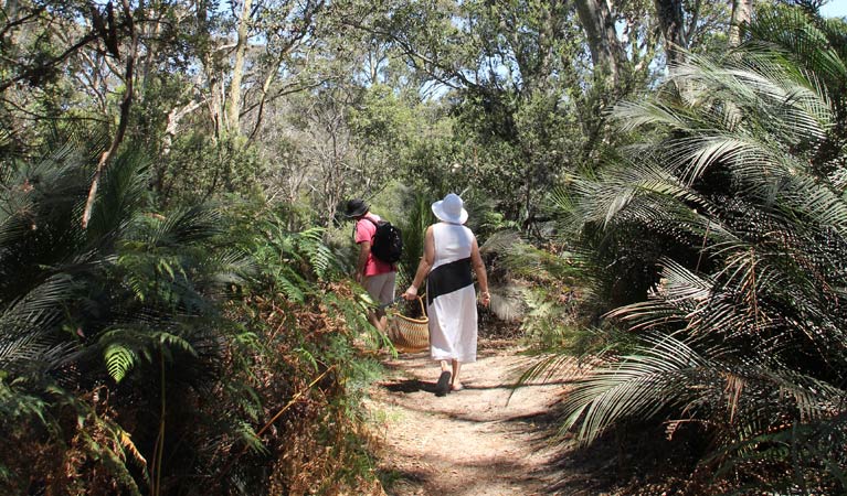 Mogareeka NSW New South Wales Tourism