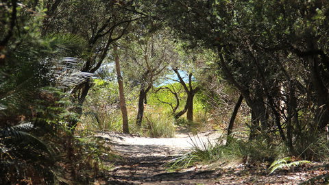 Nelson Beach - New South Wales Tourism  1