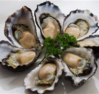 Tathra Oysters - New South Wales Tourism 