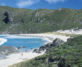 D'Entrecasteaux National Park - New South Wales Tourism  0