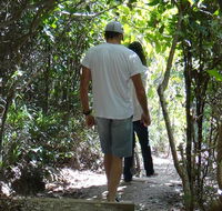 Three Sisters walking track - New South Wales Tourism 