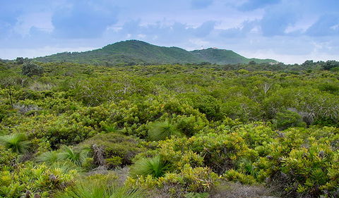 Arakwal National Park - New South Wales Tourism  1