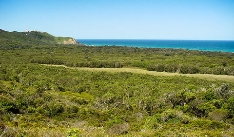 Arakwal National Park - New South Wales Tourism  2