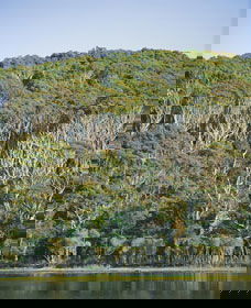 Ben Boyd National Park - New South Wales Tourism  5
