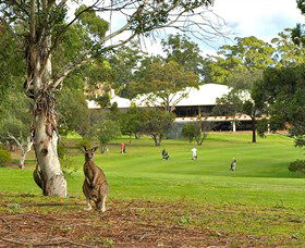 Pambula Merimbula Golf Club - New South Wales Tourism  0