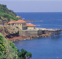 Merimbula Aquarium - New South Wales Tourism 