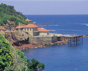 Merimbula Aquarium - New South Wales Tourism  0