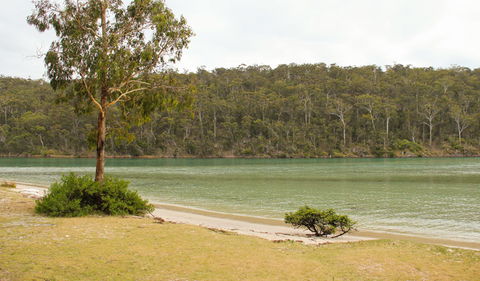 Severs Beach - New South Wales Tourism  1
