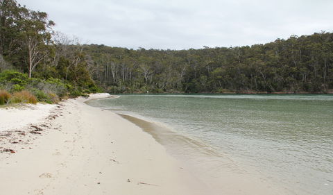Severs Beach - New South Wales Tourism  2