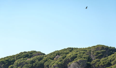 Terrace Beach And Lennards Island - New South Wales Tourism  1
