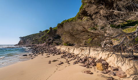 Terrace Beach And Lennards Island - New South Wales Tourism  2