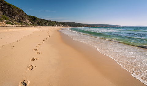 Terrace Beach And Lennards Island - New South Wales Tourism  3