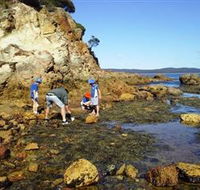 Sapphire Coast Marine Discovery Centre - New South Wales Tourism 
