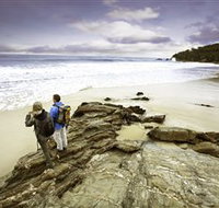 Wilderness Coast Walk - New South Wales Tourism 