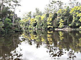 Arthur River TAS New South Wales Tourism