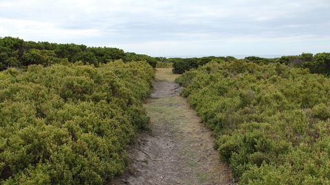 Ben Boyd National Park - New South Wales Tourism  3