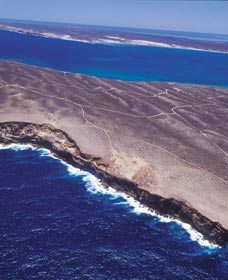 Zuytdorp Cliffs - New South Wales Tourism  1