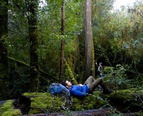 The Tarkine Drive - New South Wales Tourism  0