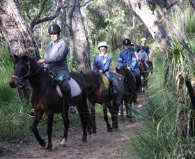 Mirravale Horse Riding School - New South Wales Tourism  0