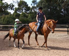 Mirravale Horse Riding School - New South Wales Tourism  1