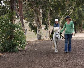 Mirravale Horse Riding School - New South Wales Tourism  2