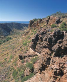 Charles Knife Canyon - New South Wales Tourism  1