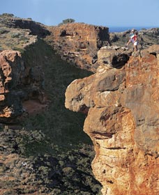 Charles Knife Canyon - New South Wales Tourism  3