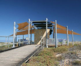 Jurabi Turtle Centre - New South Wales Tourism  0