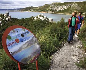 Rocky Cape National Park - New South Wales Tourism  0