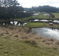 Guide Falls Farm - New South Wales Tourism 