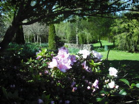 Annsleigh Gardens And Cafe - New South Wales Tourism  3