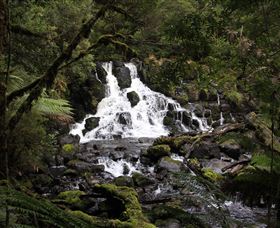 Hellyer Gorge - New South Wales Tourism  2