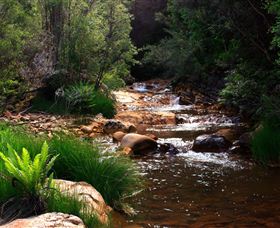 Hellyer Gorge - New South Wales Tourism  1