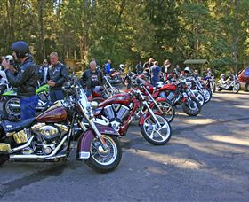 Hellyer Gorge - New South Wales Tourism  3