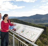 Whyte Hills Lookout - New South Wales Tourism 
