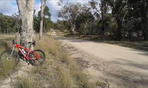 Granite Belt Bicycle Tours And Hire - New South Wales Tourism  6
