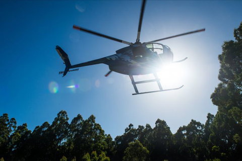 Tall Timbers Adventure Tours - New South Wales Tourism  7