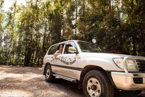 Tall Timbers Adventure Tours - New South Wales Tourism  9