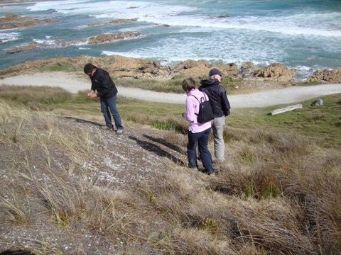 Tall Timbers Adventure Tours - New South Wales Tourism  12