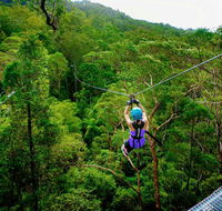 Canyon Flyer - New South Wales Tourism 