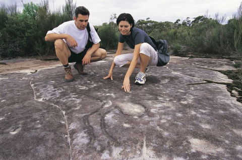 Sydney Coast Walks - New South Wales Tourism  2