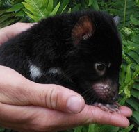 Crawn Motors - New South Wales Tourism 