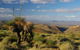 4WD Aussie Outback Adventures - thumb 0