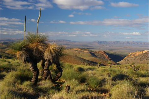 4WD Aussie Outback Adventures - New South Wales Tourism  2
