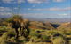 4WD Aussie Outback Adventures - thumb 3
