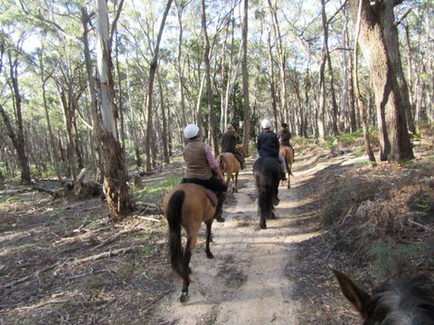Silver Brumby Trails - New South Wales Tourism  0
