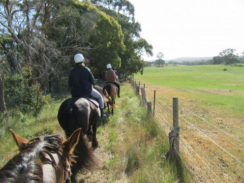 Silver Brumby Trails - New South Wales Tourism  1